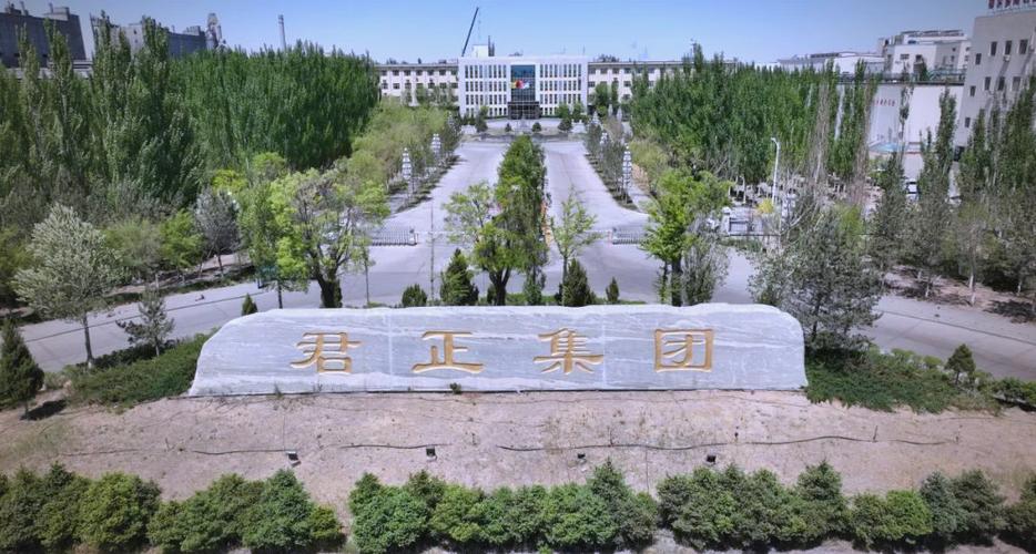 君正集团简介