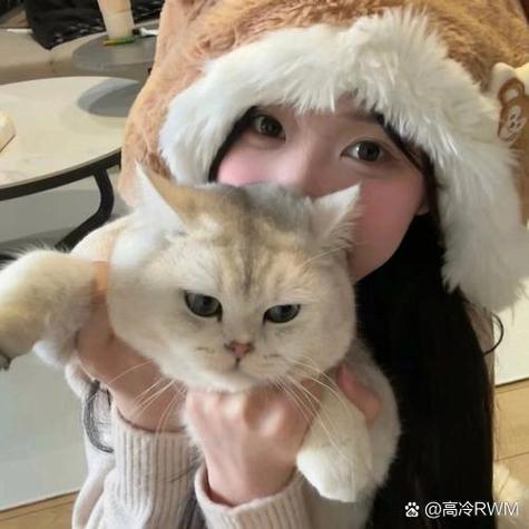温柔干净且惊艳抱猫的女生头像