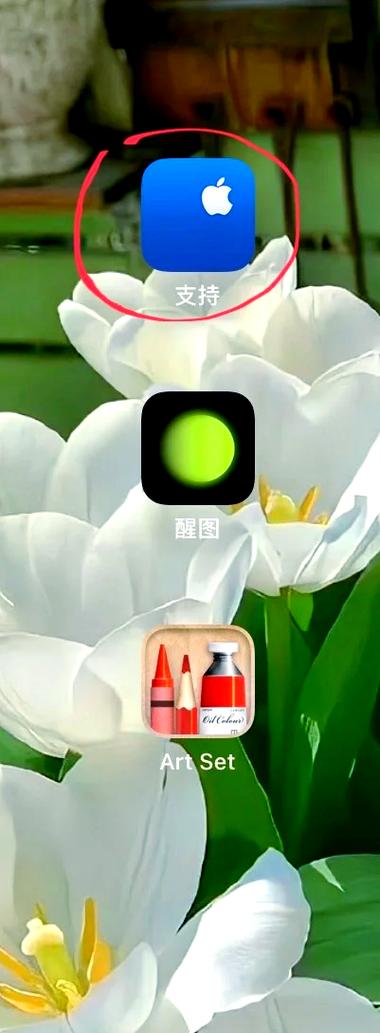 苹果手表查看电池健康度的步骤