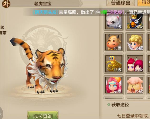 天龙八部手游天龙带什么宝宝