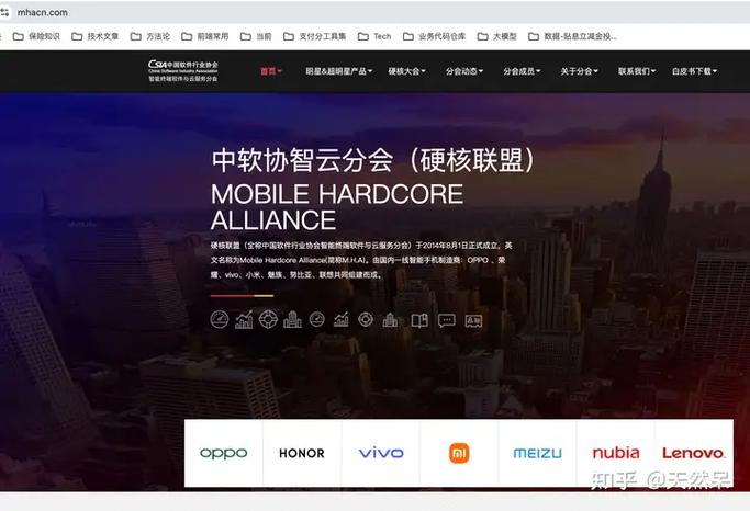 小米为什么没有加入硬核联盟截图