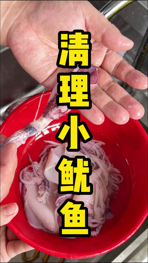 小鱿鱼找妈妈游戏