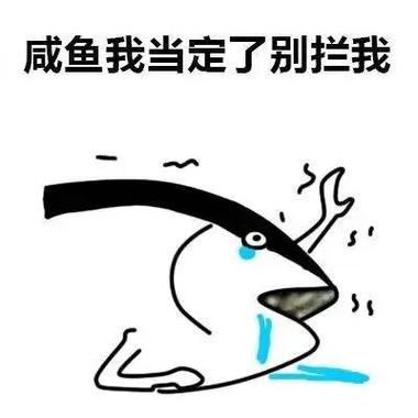 别人说咸鱼翻身还是咸鱼怎么反驳截图