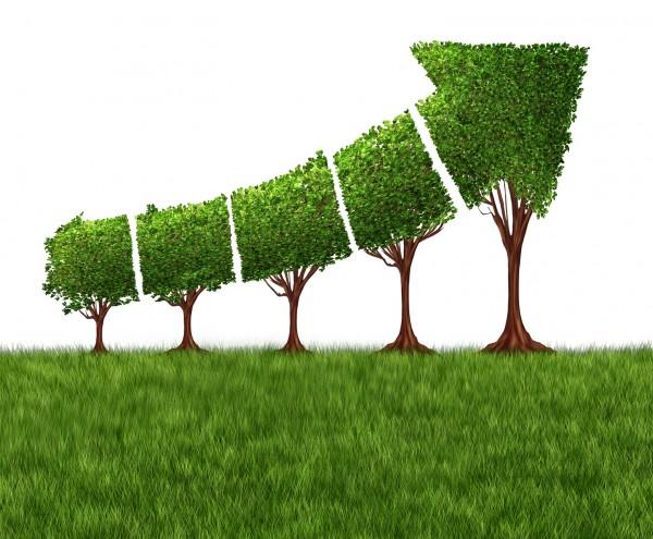 sustainable翻译成中文