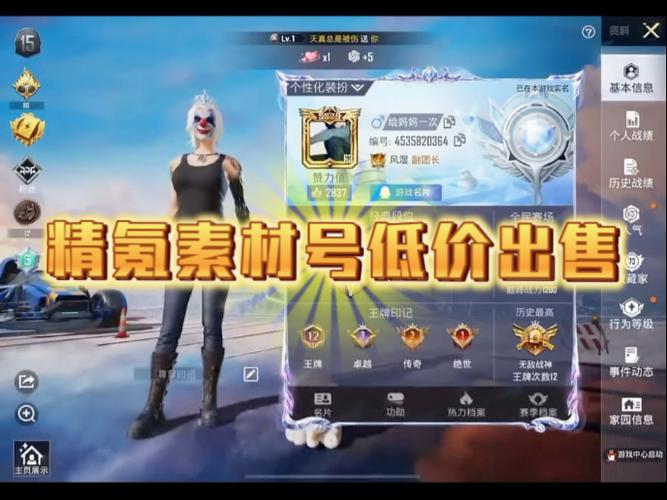 和平精英个人主页图图标