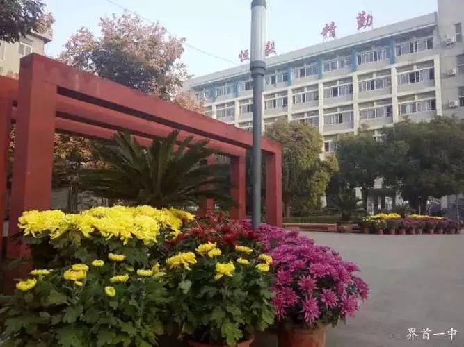 界首一中南校区在哪