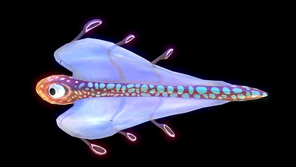 泡泡鱼长什么样子