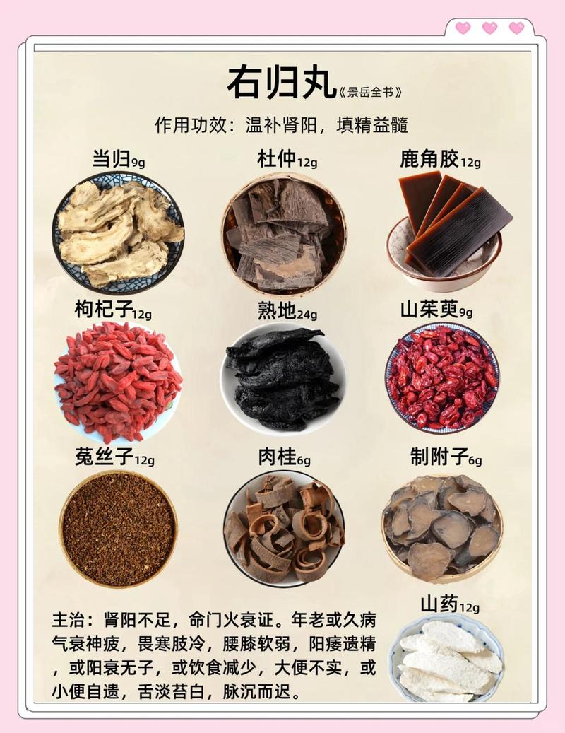 赞育丹合右归丸医案