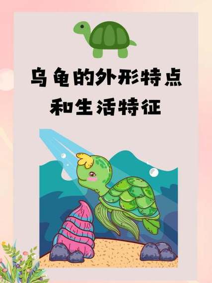 乌龟效应是什么