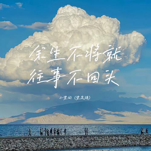 愿往事不回头,敬余生不将就