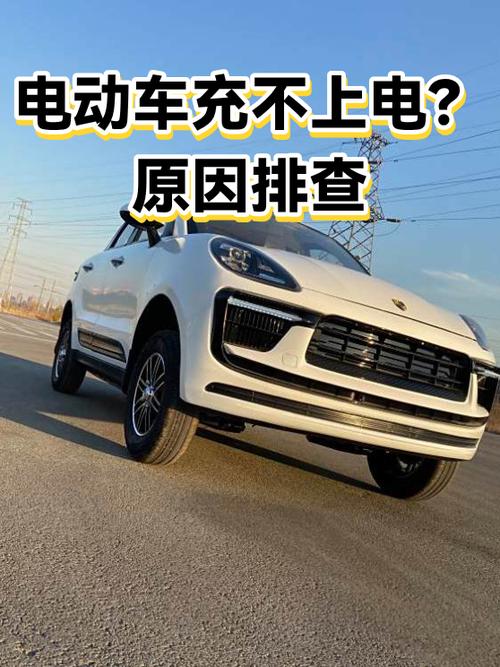 电动车充不上电是啥原因