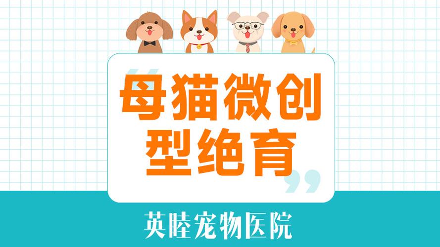 猫咪医院在线咨询