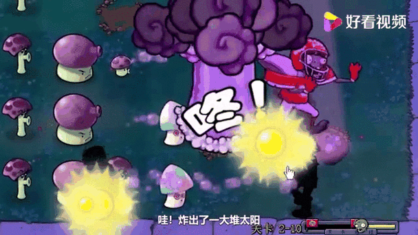 植物大战僵尸爆料视频