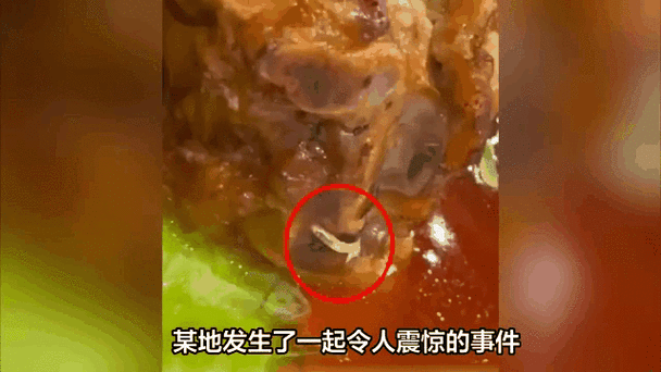 蛆的表情包动图