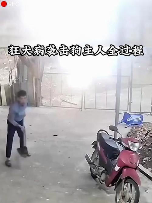 狂犬病的狗会疯狂跑吗