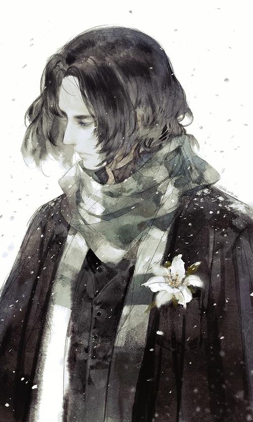 hp斯莱特林