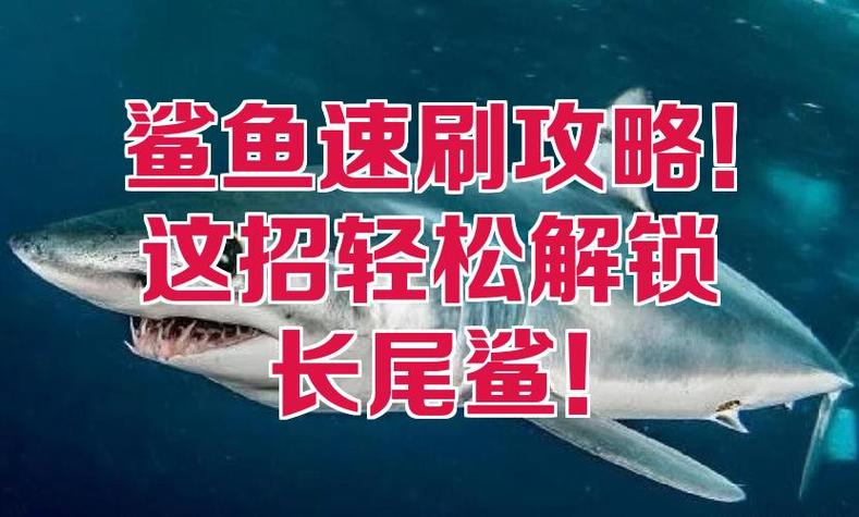 鲨鱼的解锁方法