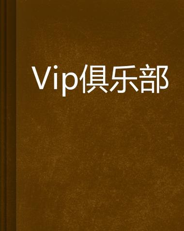 乐享VIP缩略图