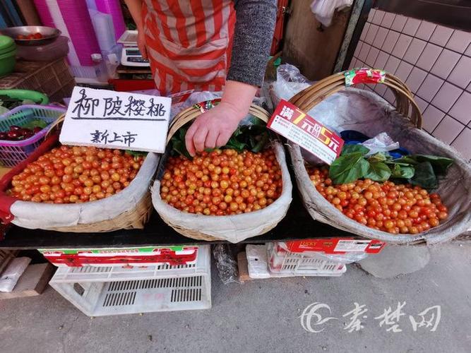 今日车厘子批发价格