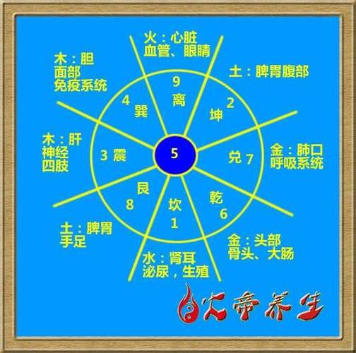 八卦对应人体部位口诀