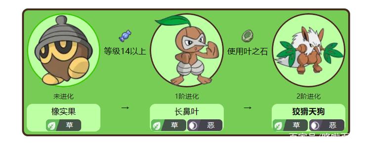 叶之石能进化什么