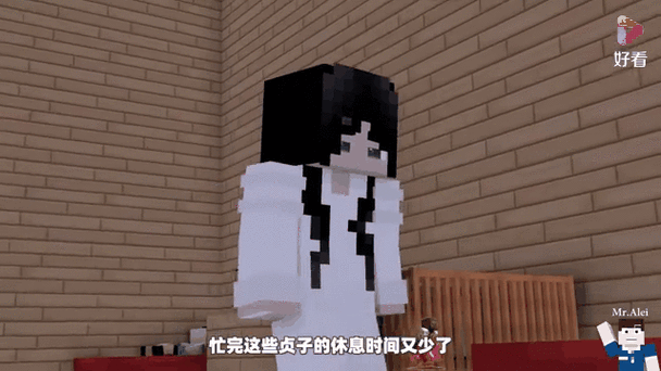 我的世界him美女