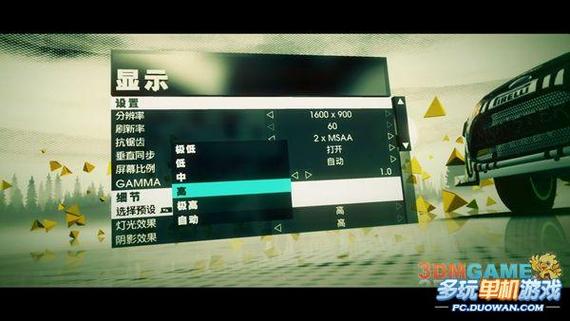 尘埃3游戏截图