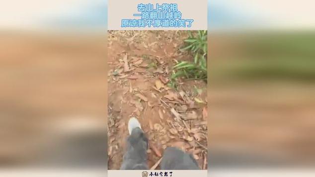 山山爆笑小视频100集图标