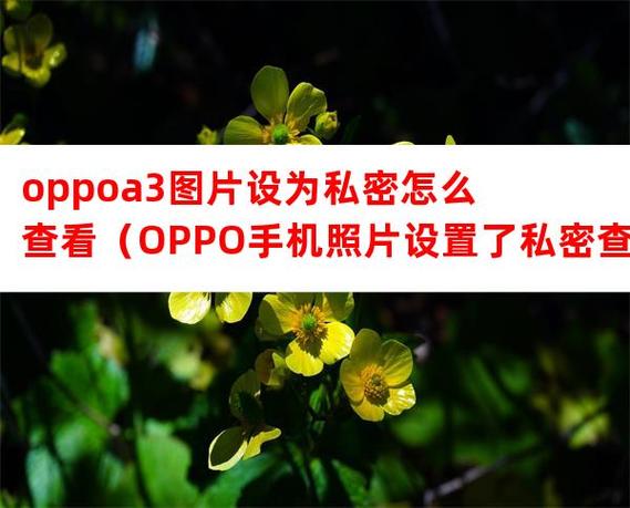 oppo把照片设为私密