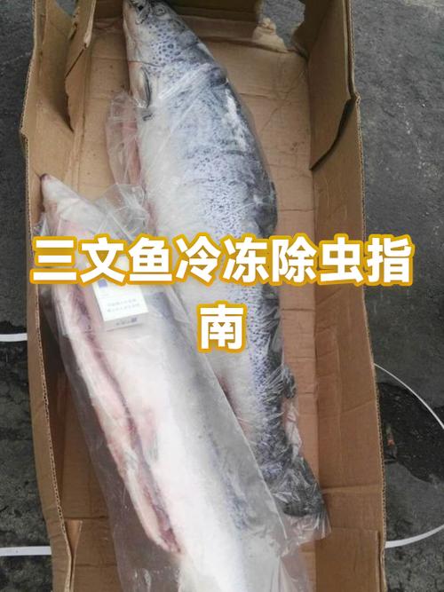 三文鱼怎么保存冷冻还是冷藏