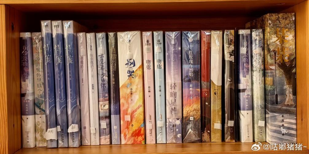 海纳免费小说APP更新频率