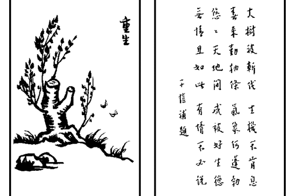 误删作品的恢复方法