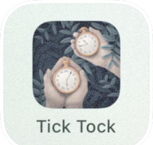 ticktock进不了游戏