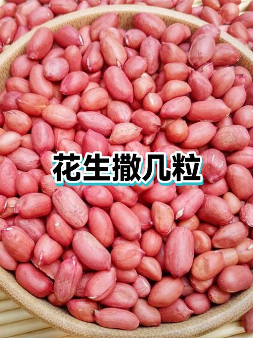 20克花生大概多少粒