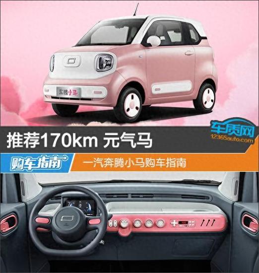 小马电动汽车价格及图片缩略图