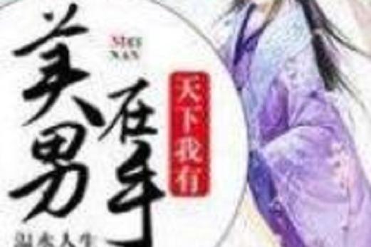 美男的收集系统[总攻]小说