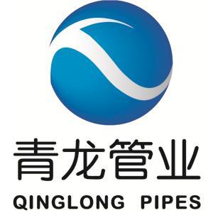 青龙管业盘中快速上涨截图