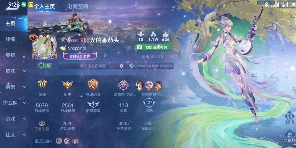 王者荣耀个人主页抠图缩略图