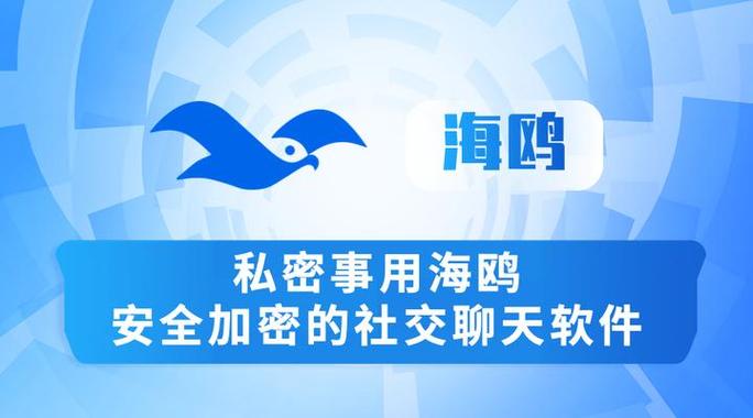 下载海鸥聊天官网最新版
