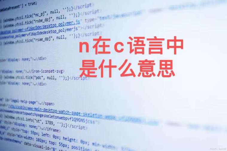 nn行为是什么意思
