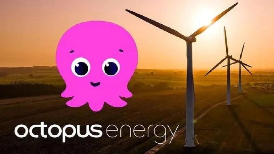 octopus章鱼