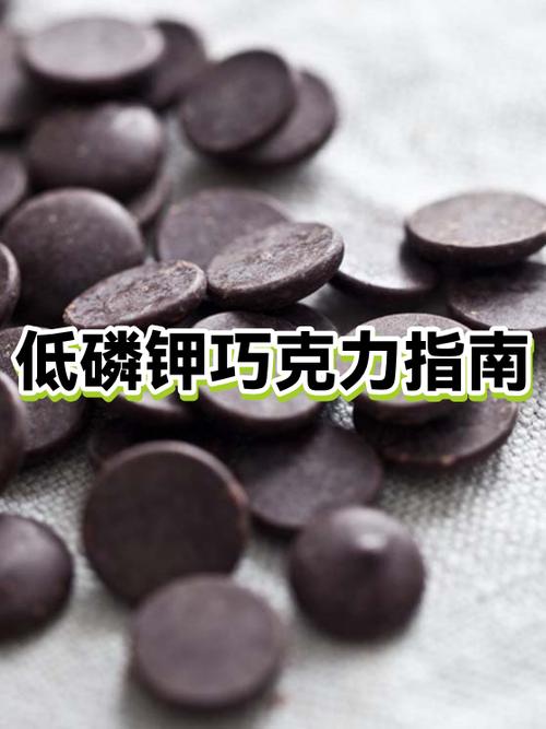 巧克力和哪些食物相克