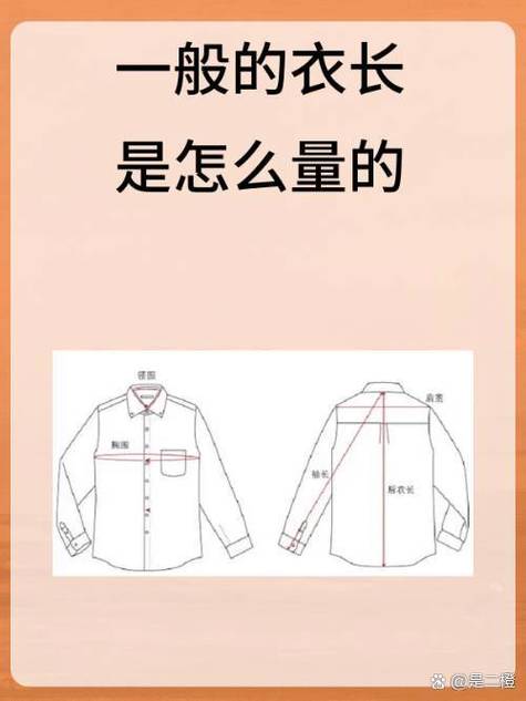 衣服长度是从哪里开始量的