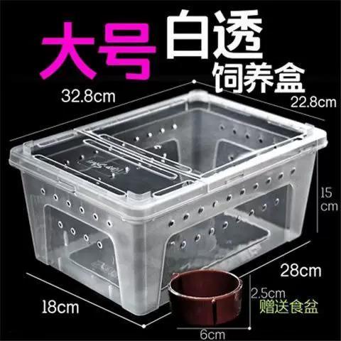 自制养蜗牛盒子