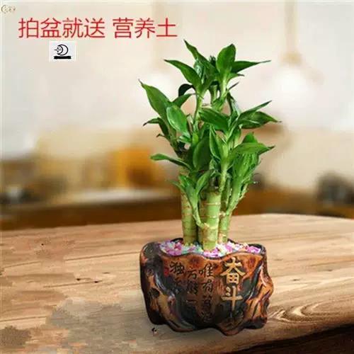 转运最好的土办法