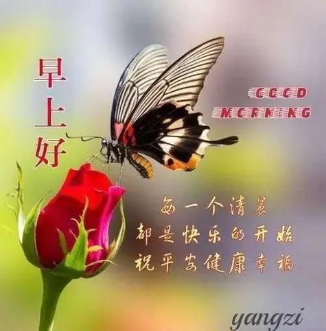 微信一个字昵称