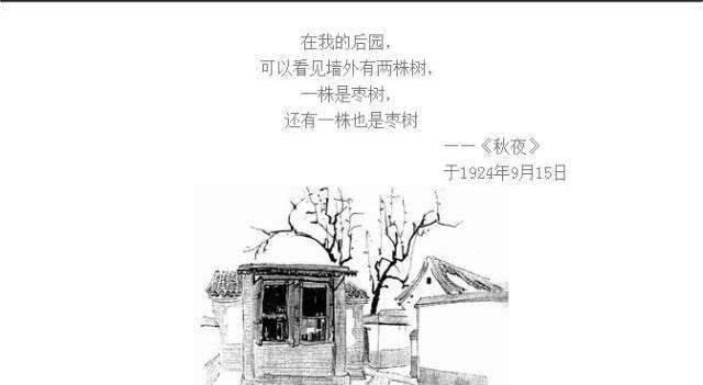 一棵是枣树另一颗也是枣树的意思
