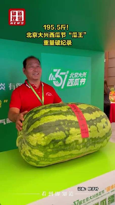 中国最大的西瓜