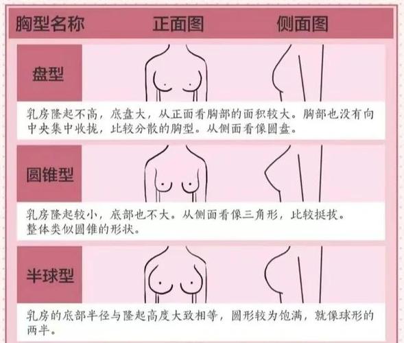 胸围90G是多大