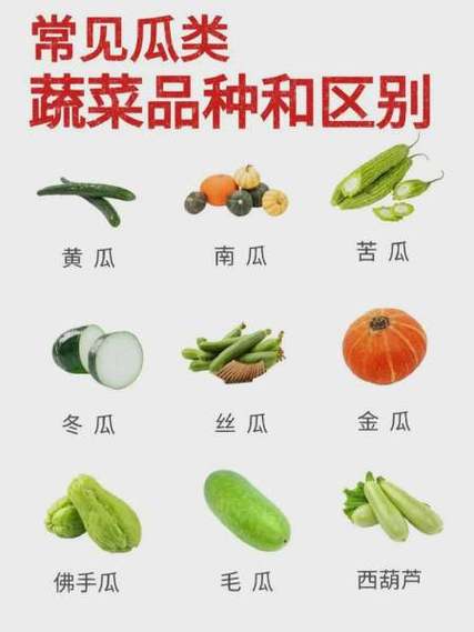 瓜图片及名称缩略图